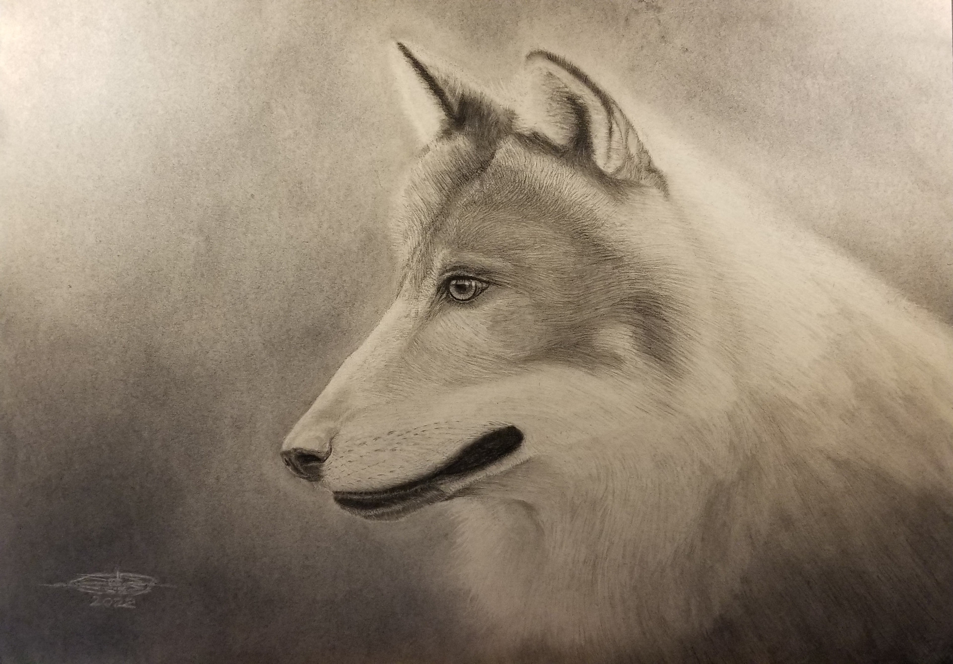 Wolf-Portrait-Ryan-Arnfinson-2022_1920x1338