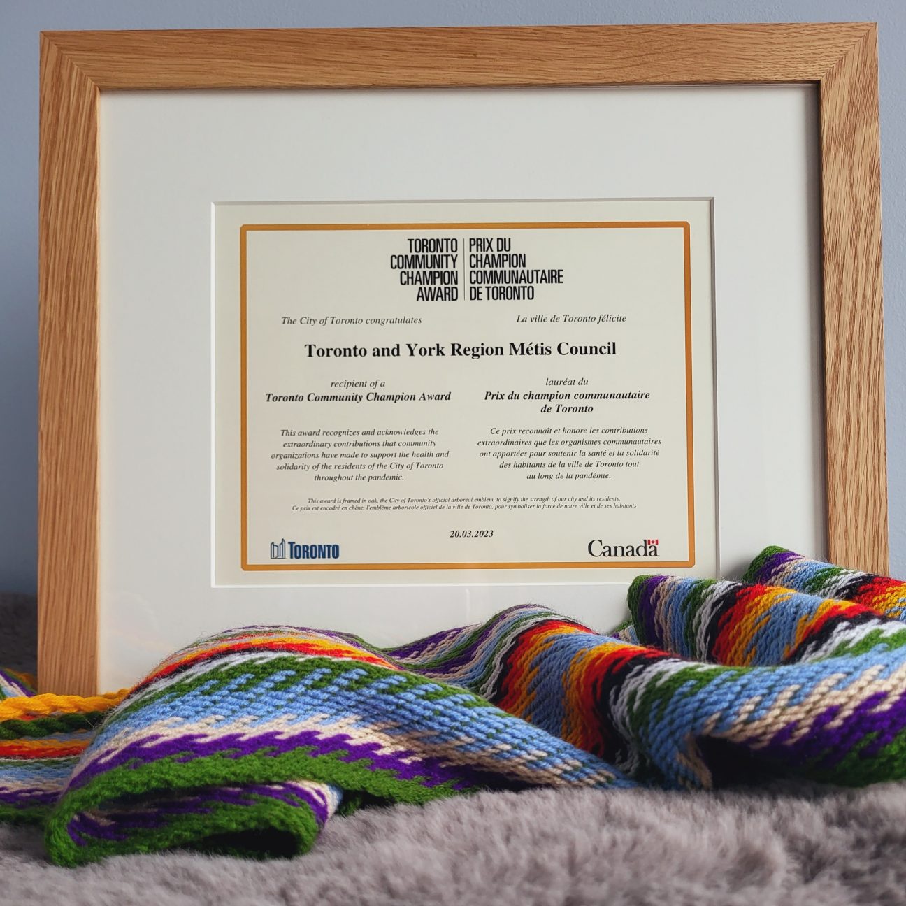 Image of framed Toronto Community Champion Award